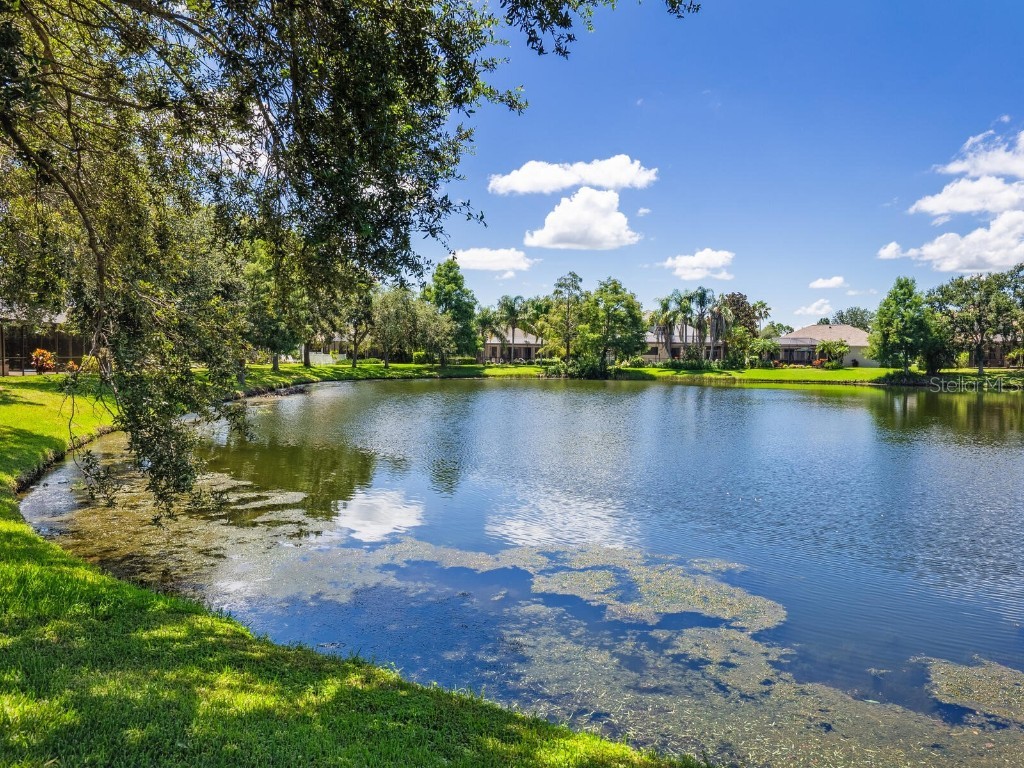 6404 Royal Tern Circle Lakewood Ranch FL 34202 A4660085 image42