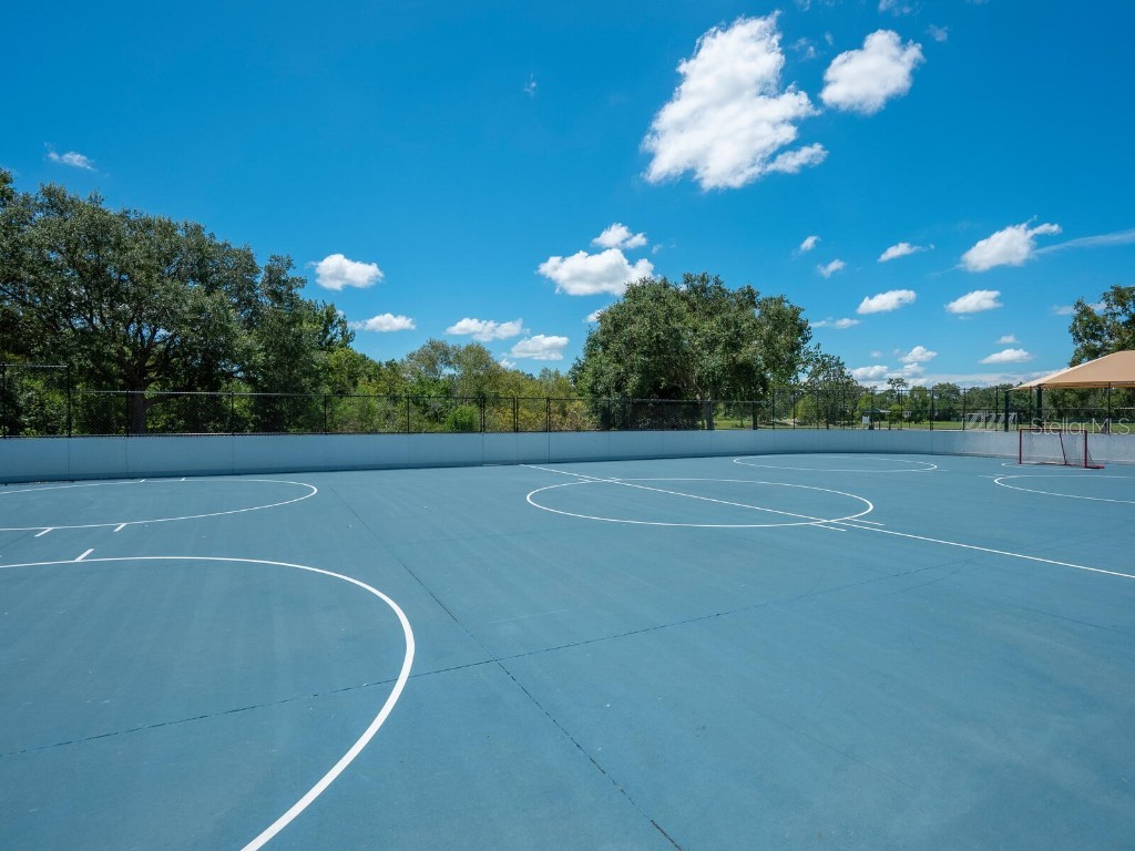 6404 Royal Tern Circle Lakewood Ranch FL 34202 A4660085 image50