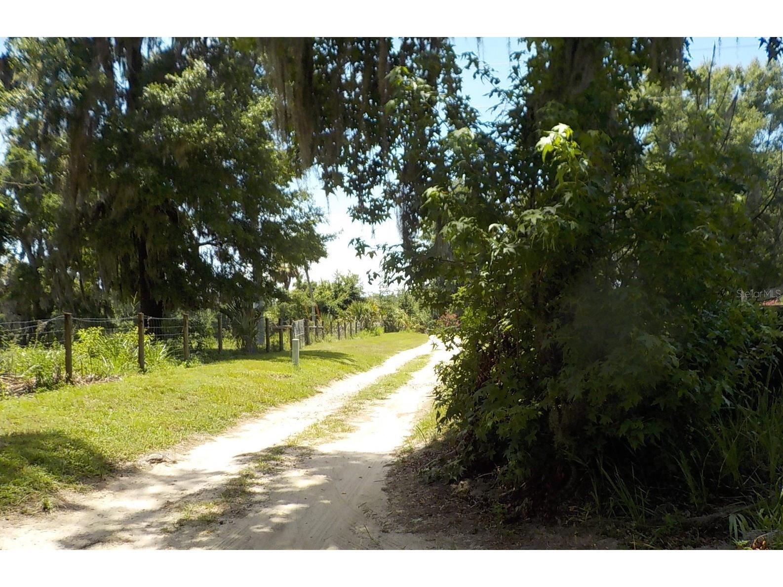 6404 SW 9th Avenue Ocala FL 34471 OM727509 image8