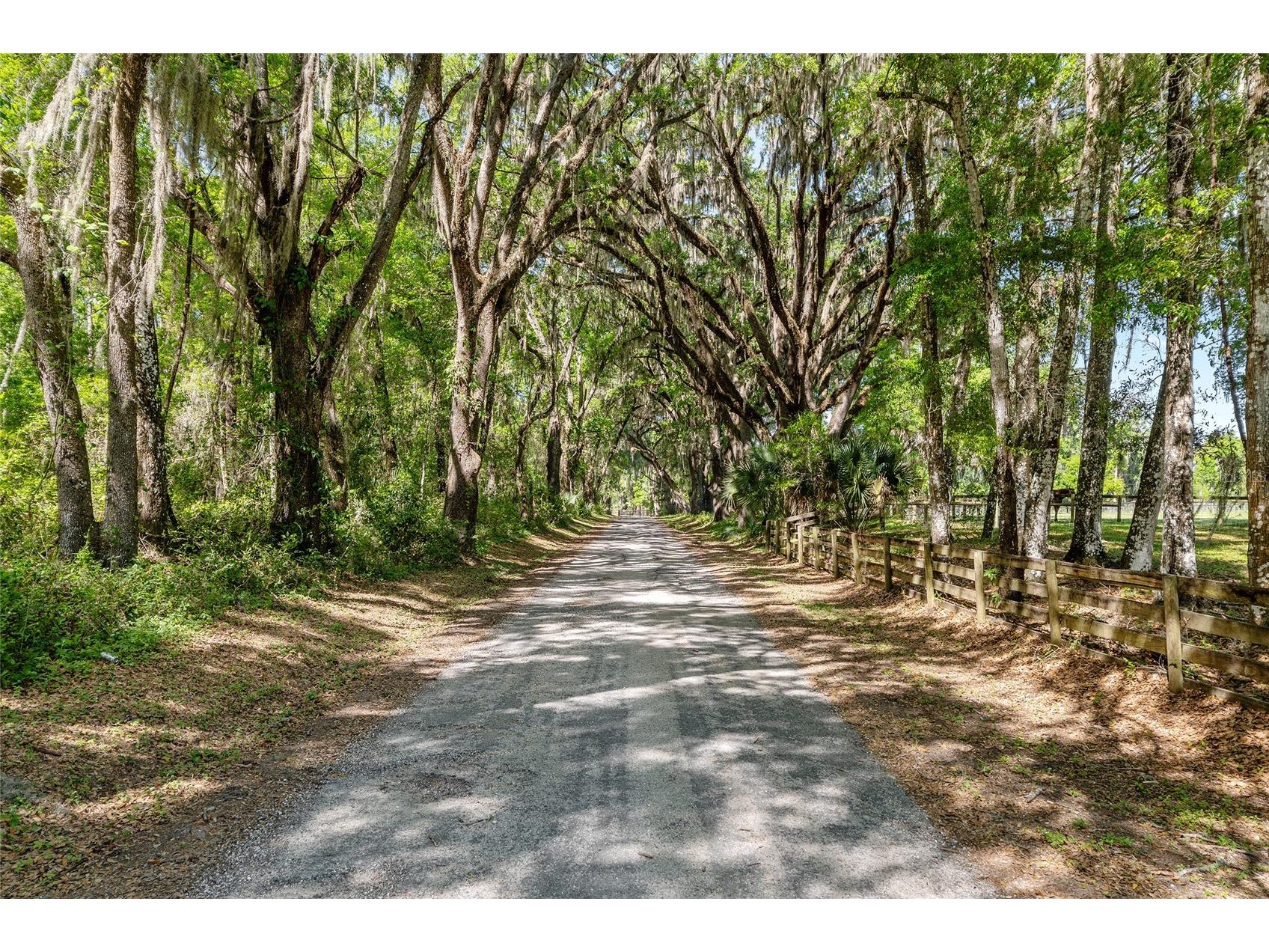 6405 NW 165th Street Reddick FL 32686 OM722173 image1