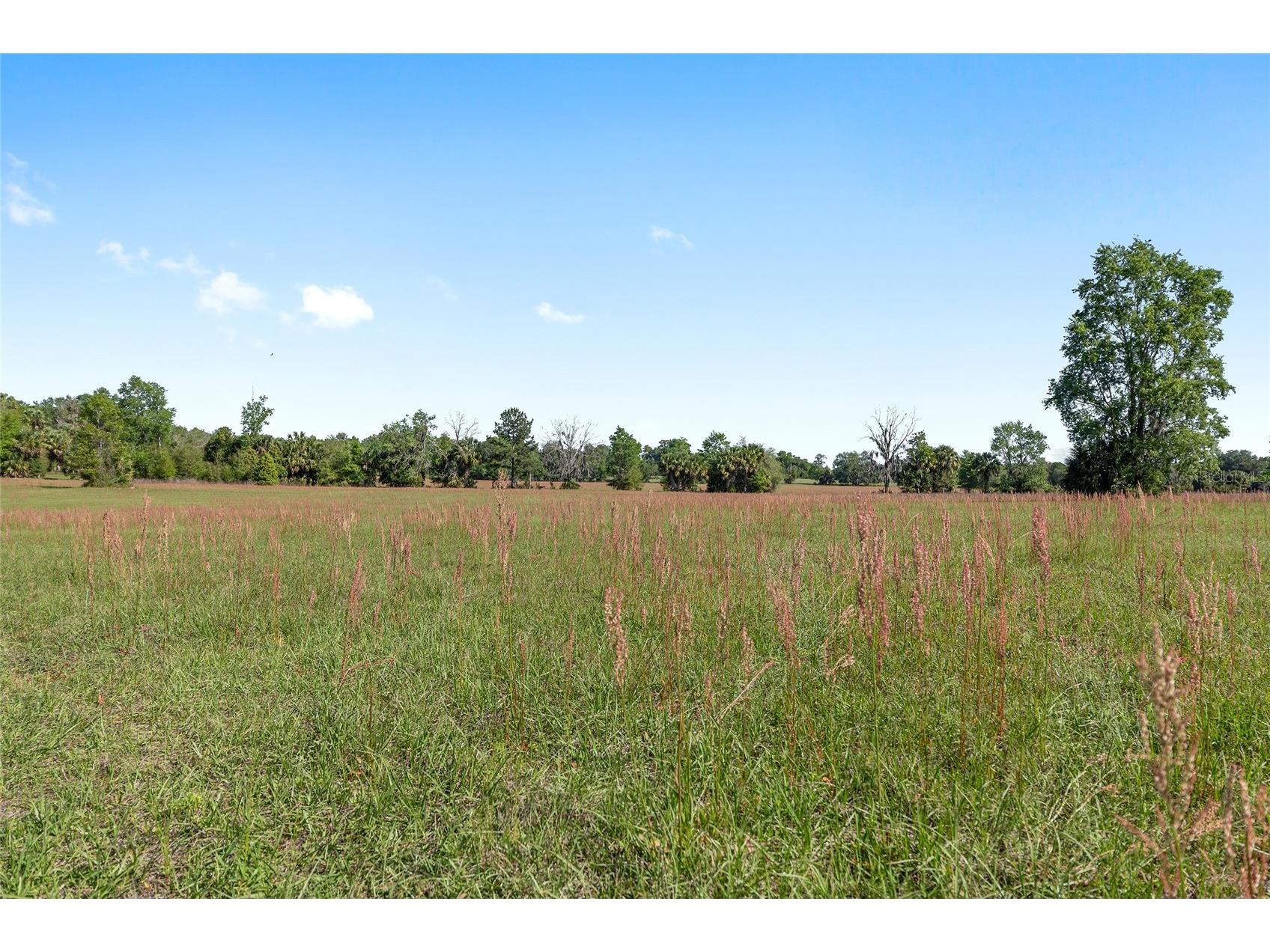 6405 NW 165th Street Reddick FL 32686 OM722173 image10