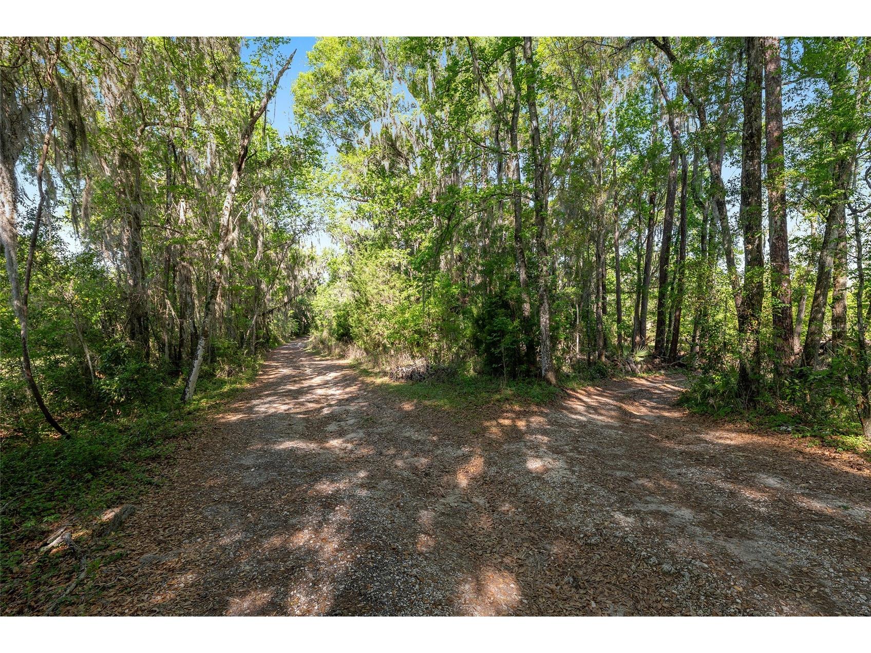 6405 NW 165th Street Reddick FL 32686 OM722173 image11