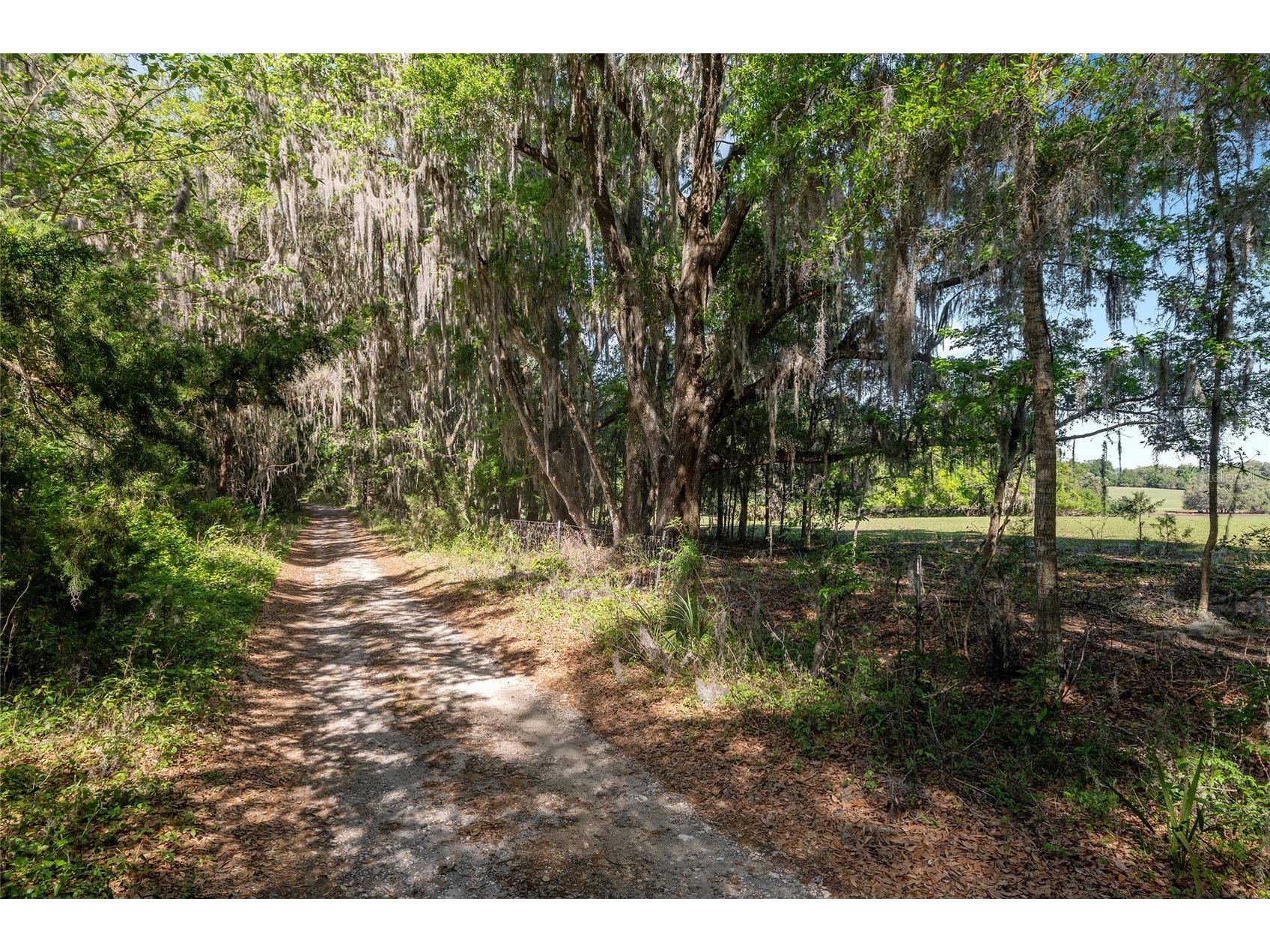 6405 NW 165th Street Reddick FL 32686 OM722173 image12