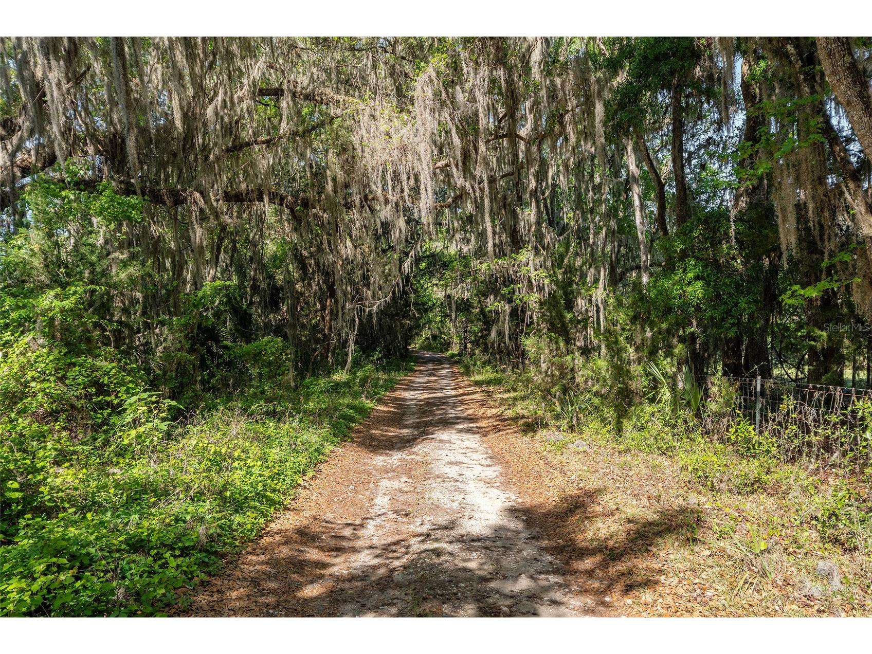 6405 NW 165th Street Reddick FL 32686 OM722173 image13