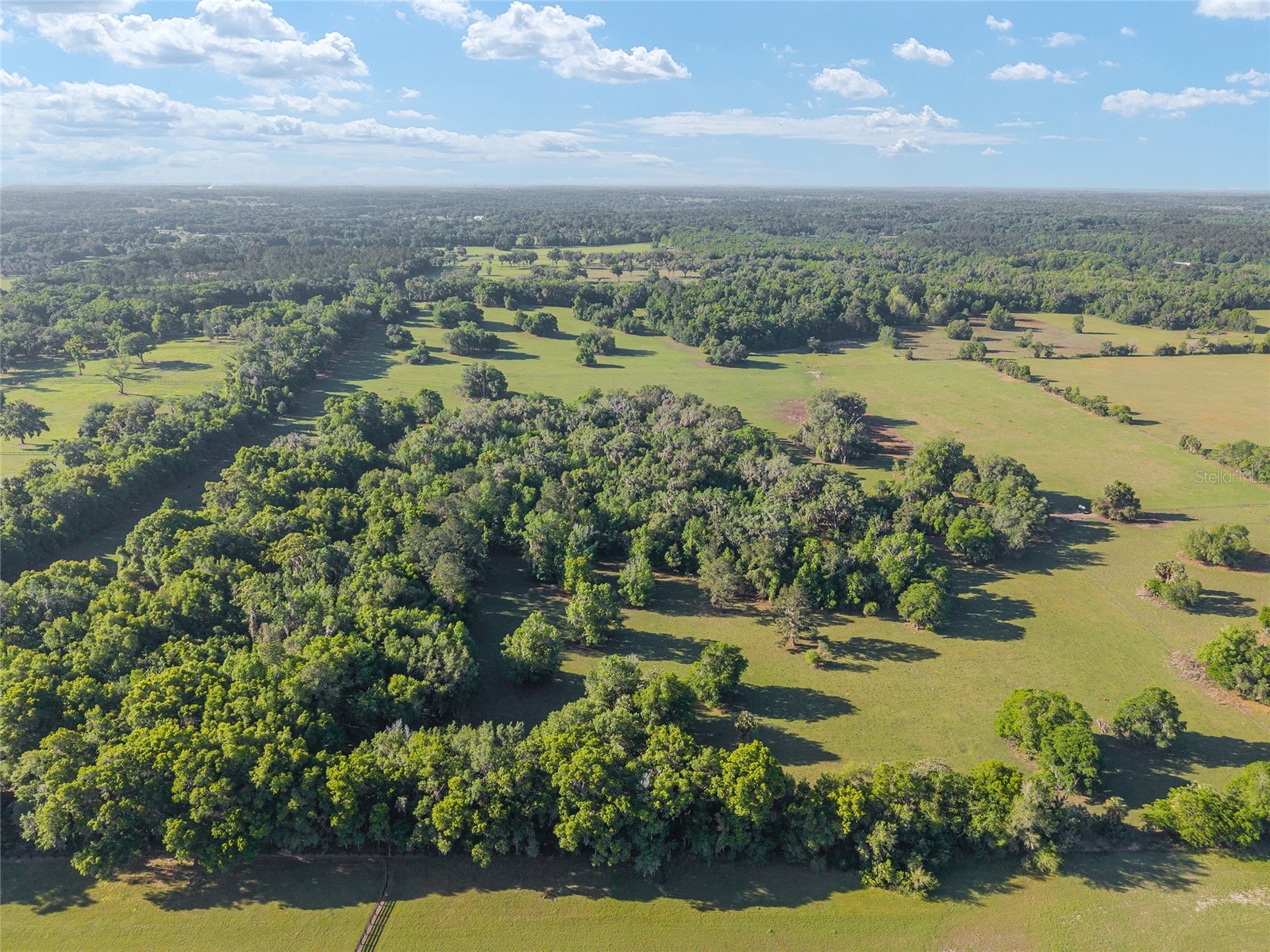 6405 NW 165th Street Reddick FL 32686 OM722173 image14