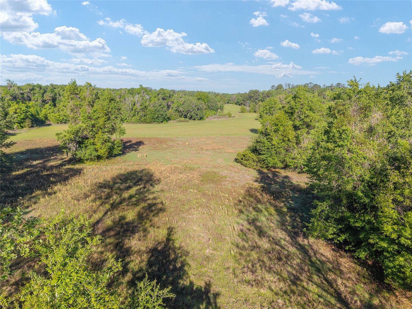 6405 NW 165th Street Reddick FL 32686 OM722173 image16