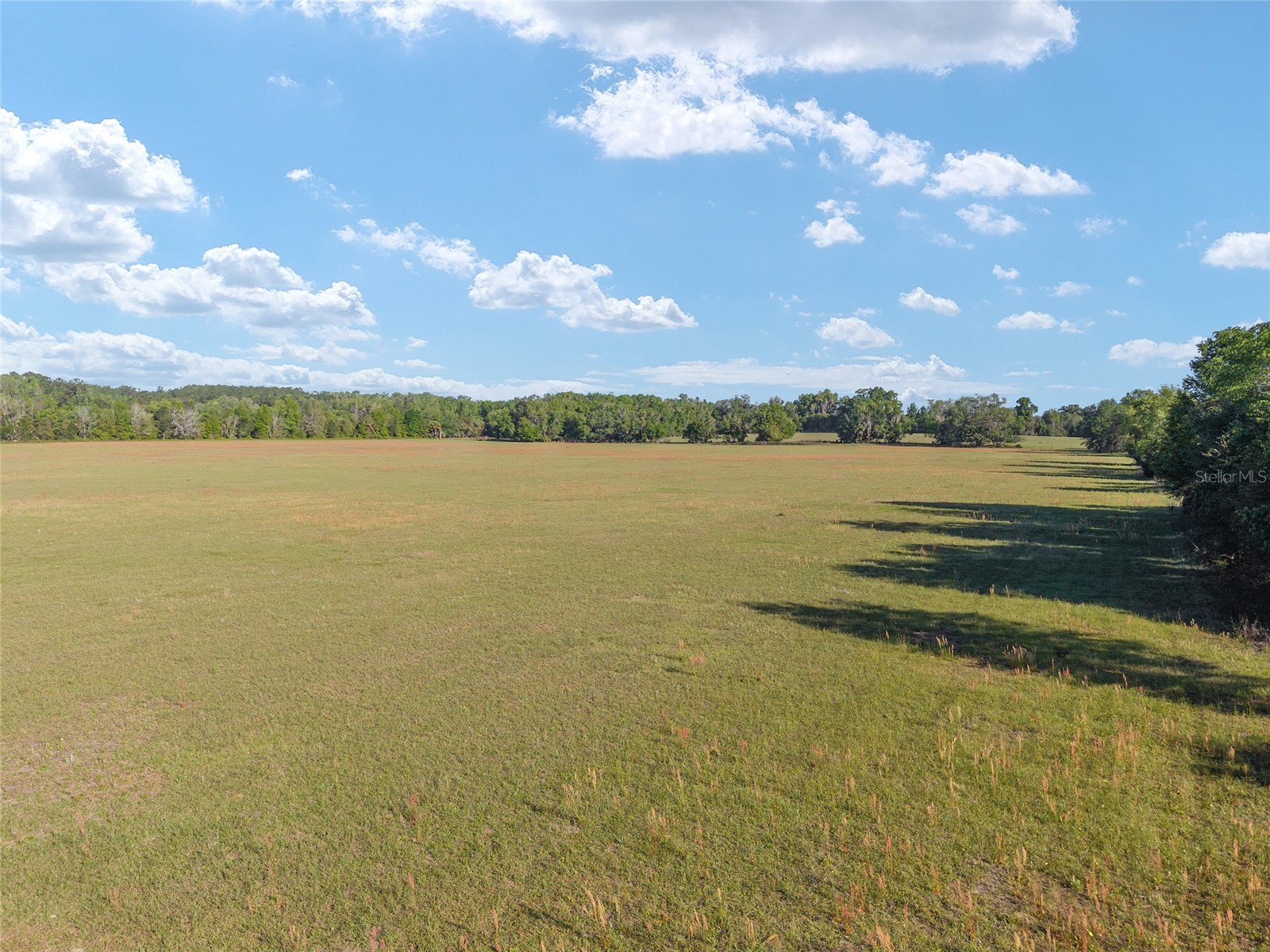 6405 NW 165th Street Reddick FL 32686 OM722173 image17