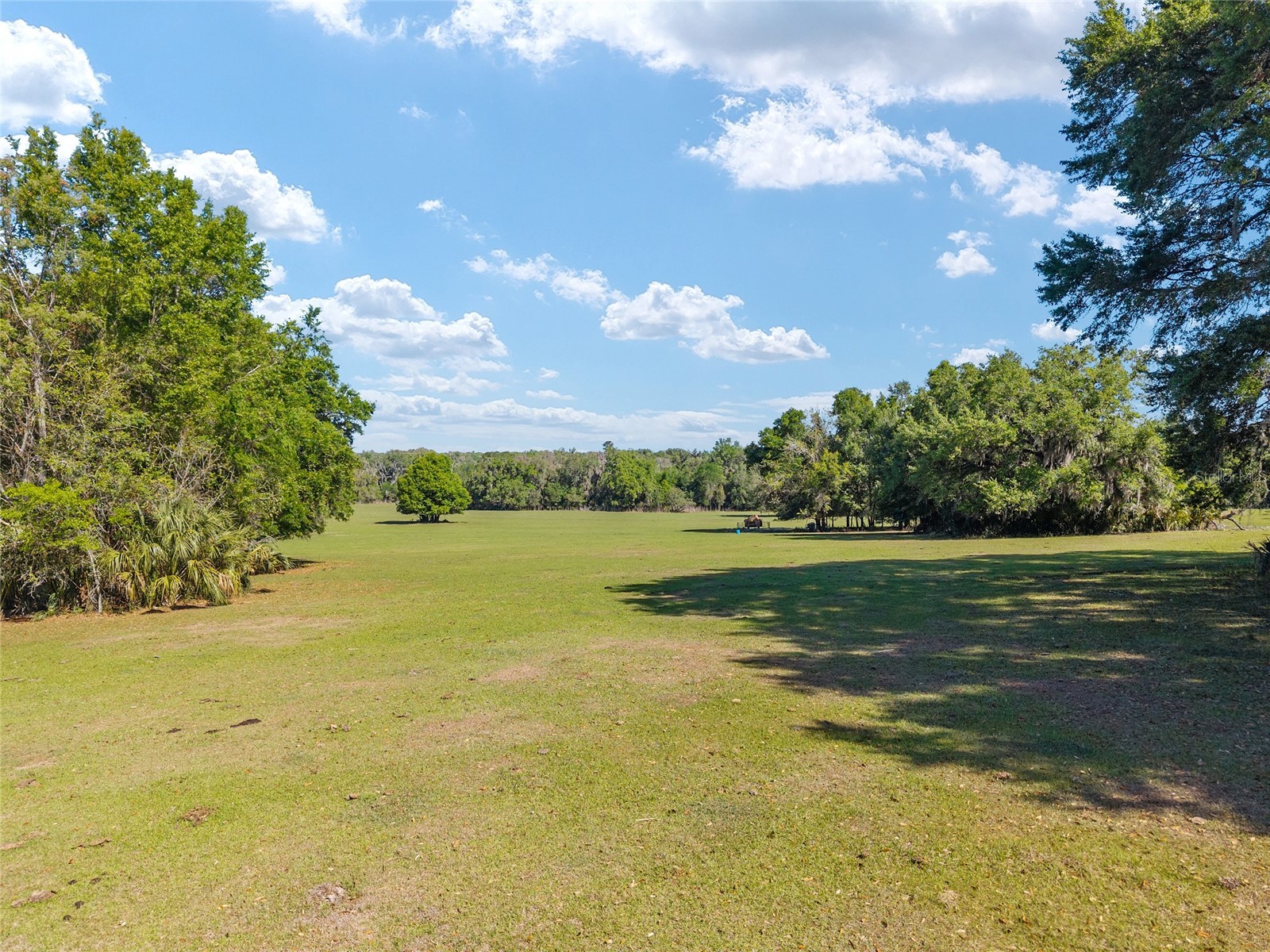 6405 NW 165th Street Reddick FL 32686 OM722173 image2