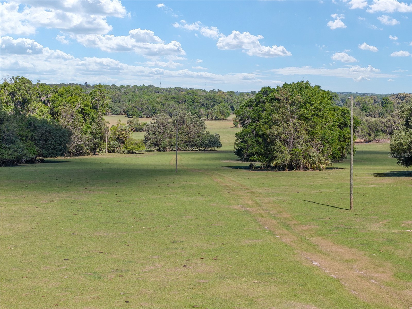 6405 NW 165th Street Reddick FL 32686 OM722173 image4