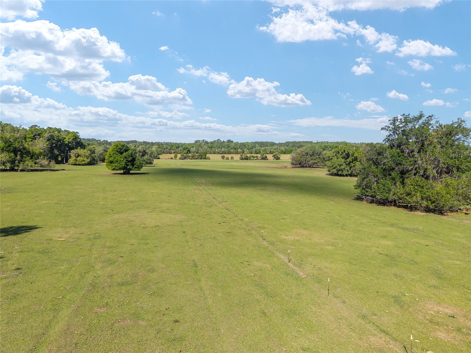 6405 NW 165th Street Reddick FL 32686 OM722173 image6