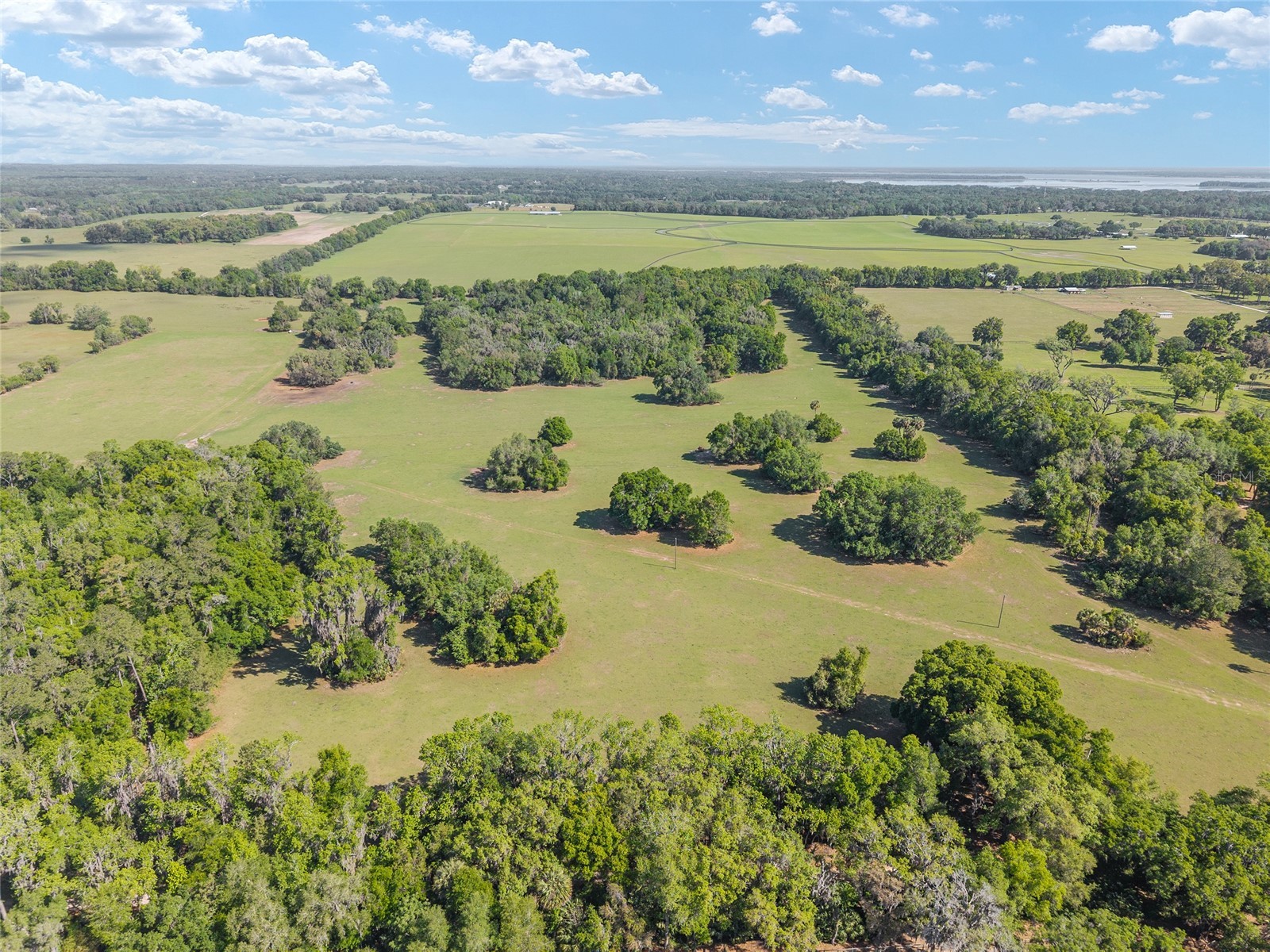 6405 NW 165th Street Reddick FL 32686 OM722173 image7