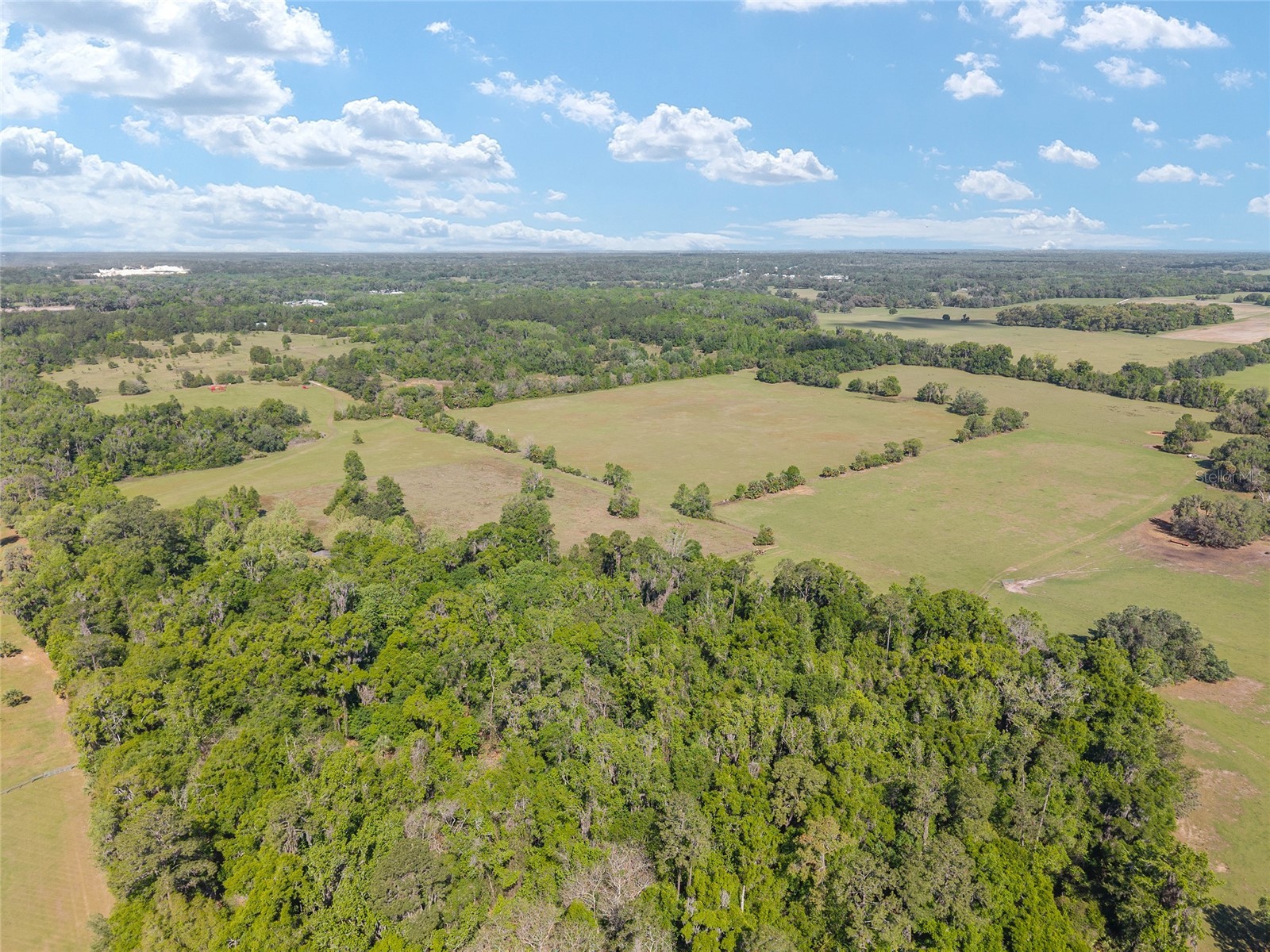 6405 NW 165th Street Reddick FL 32686 OM722173 image8