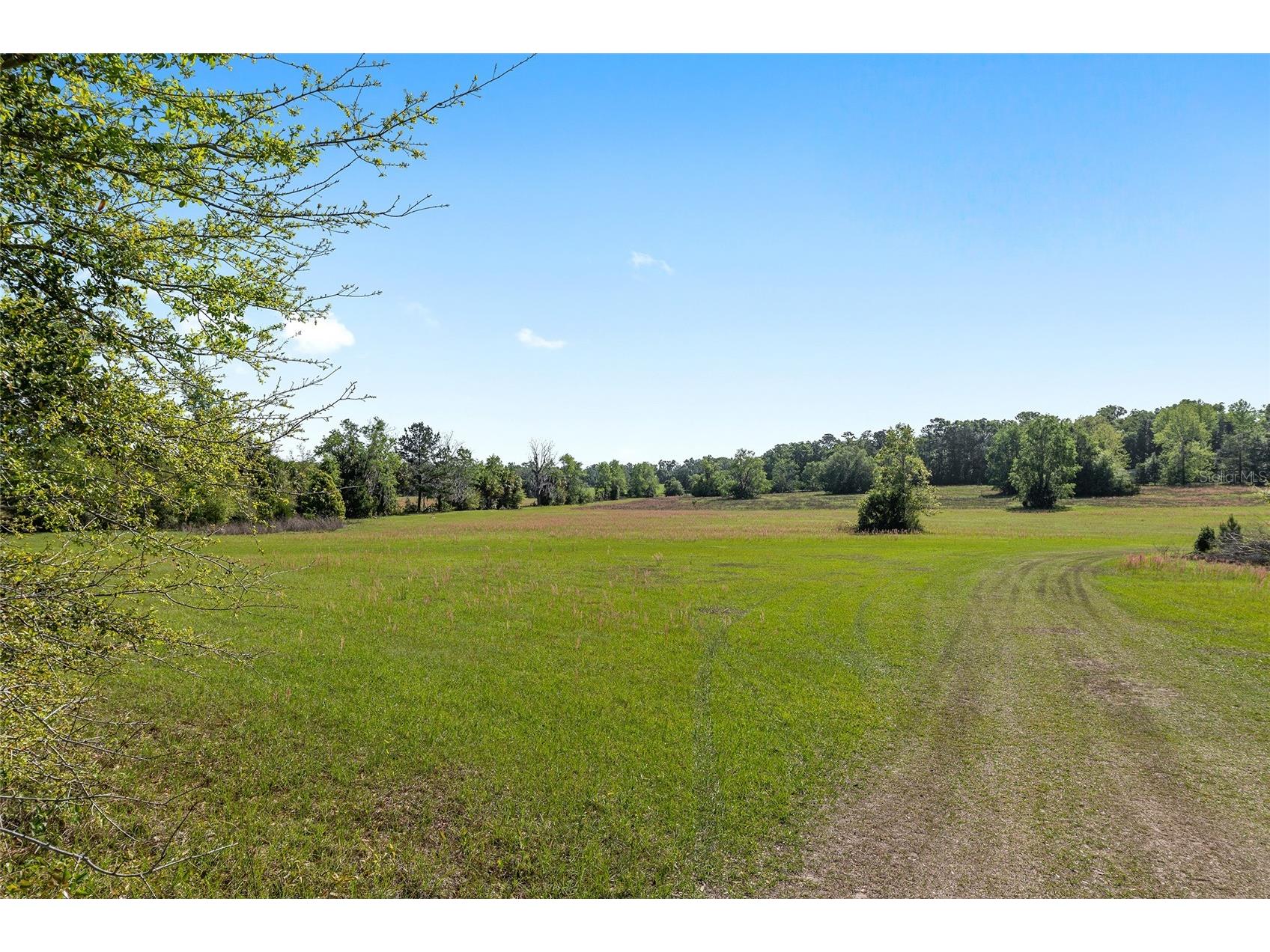6405 NW 165th Street Reddick FL 32686 OM722173 image9