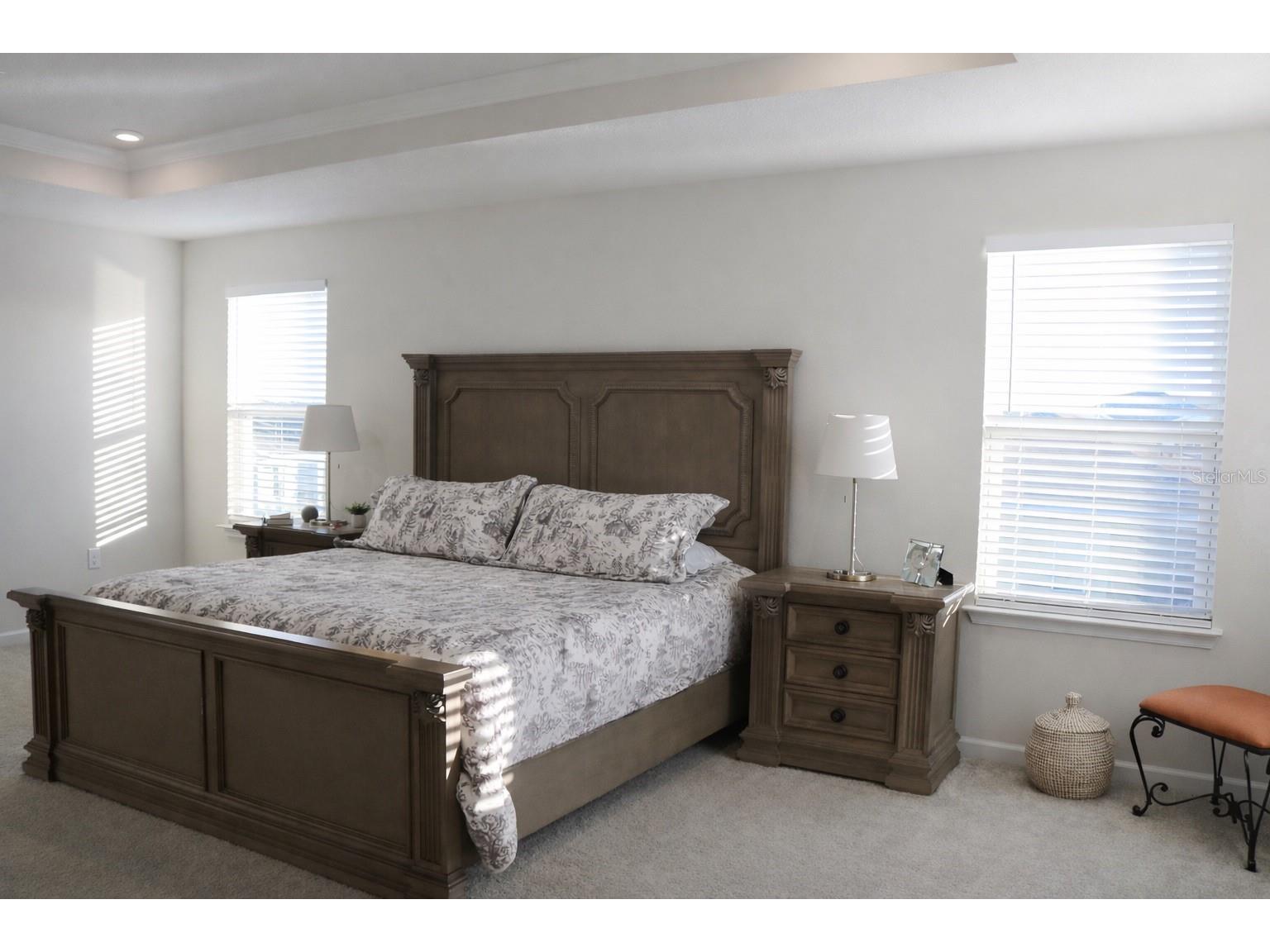 6405 Pebblebrooke Way Zephyrhills FL 33541 TB8514180 image9