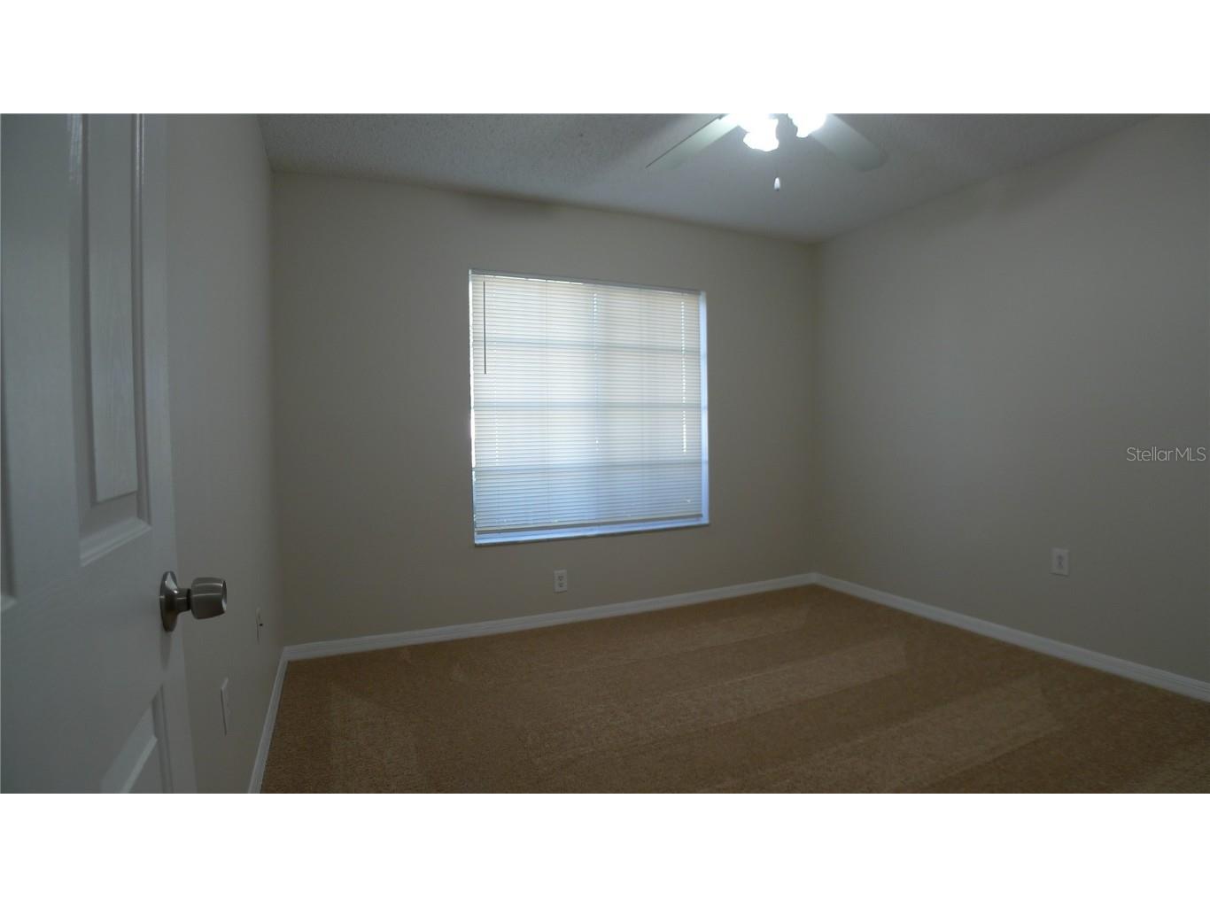 6405 Pine Top Way Wesley Chapel FL 33545 TB8442368 image14