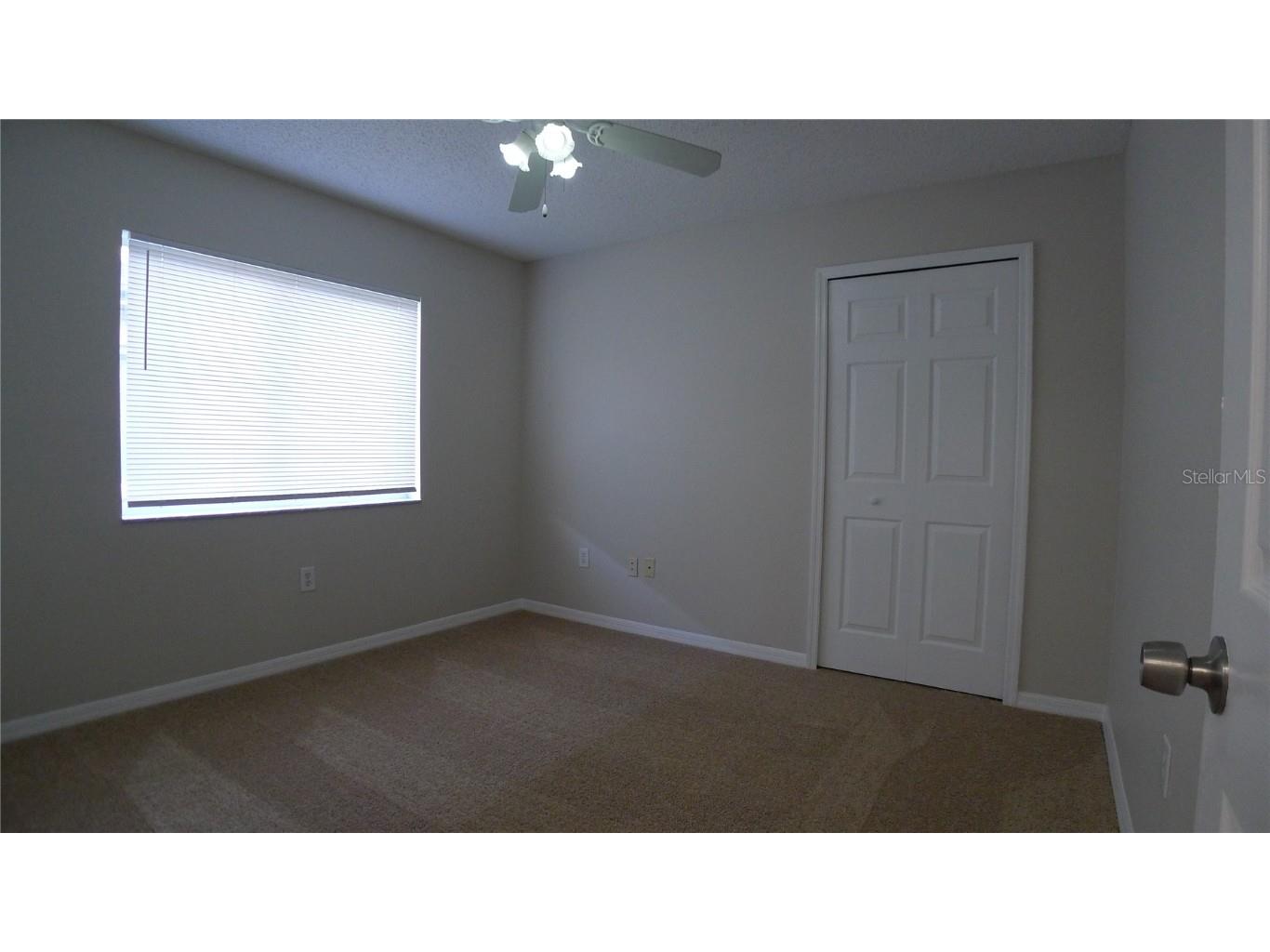 6405 Pine Top Way Wesley Chapel FL 33545 TB8442368 image17