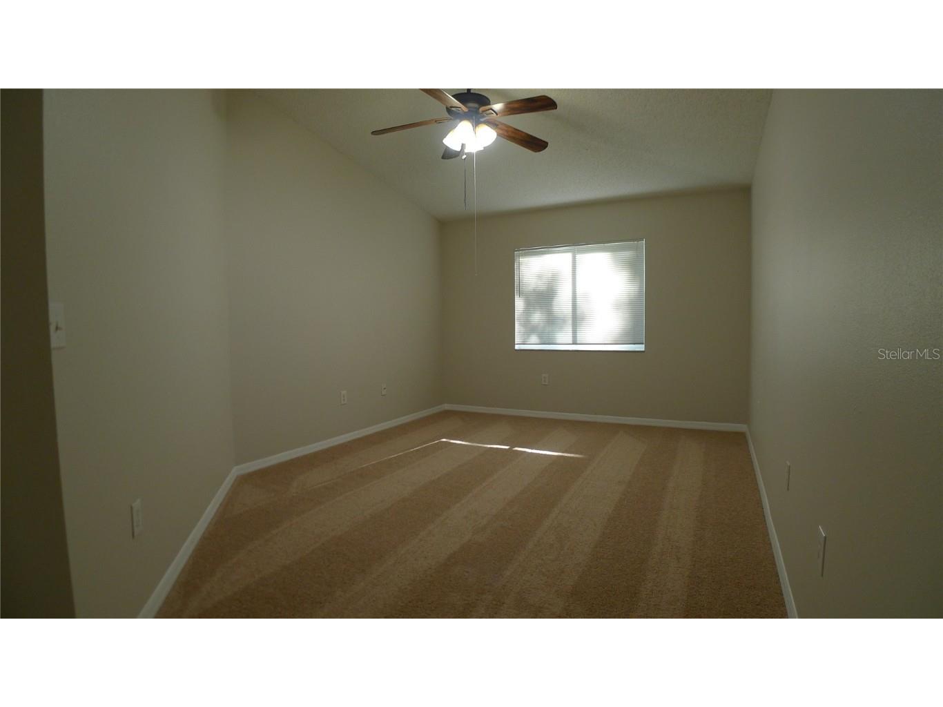 6405 Pine Top Way Wesley Chapel FL 33545 TB8442368 image21