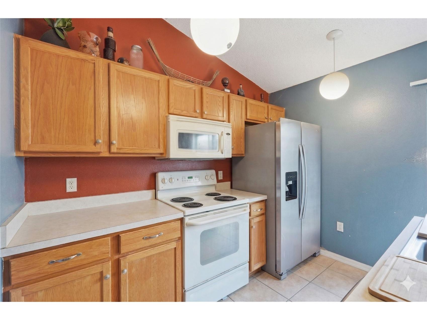 6405 Tabogi Trail Wesley Chapel FL 33545 TB8493273 image10