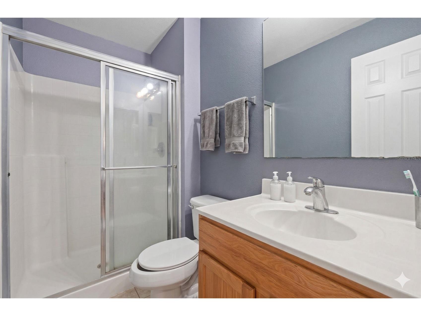 6405 Tabogi Trail Wesley Chapel FL 33545 TB8493273 image16
