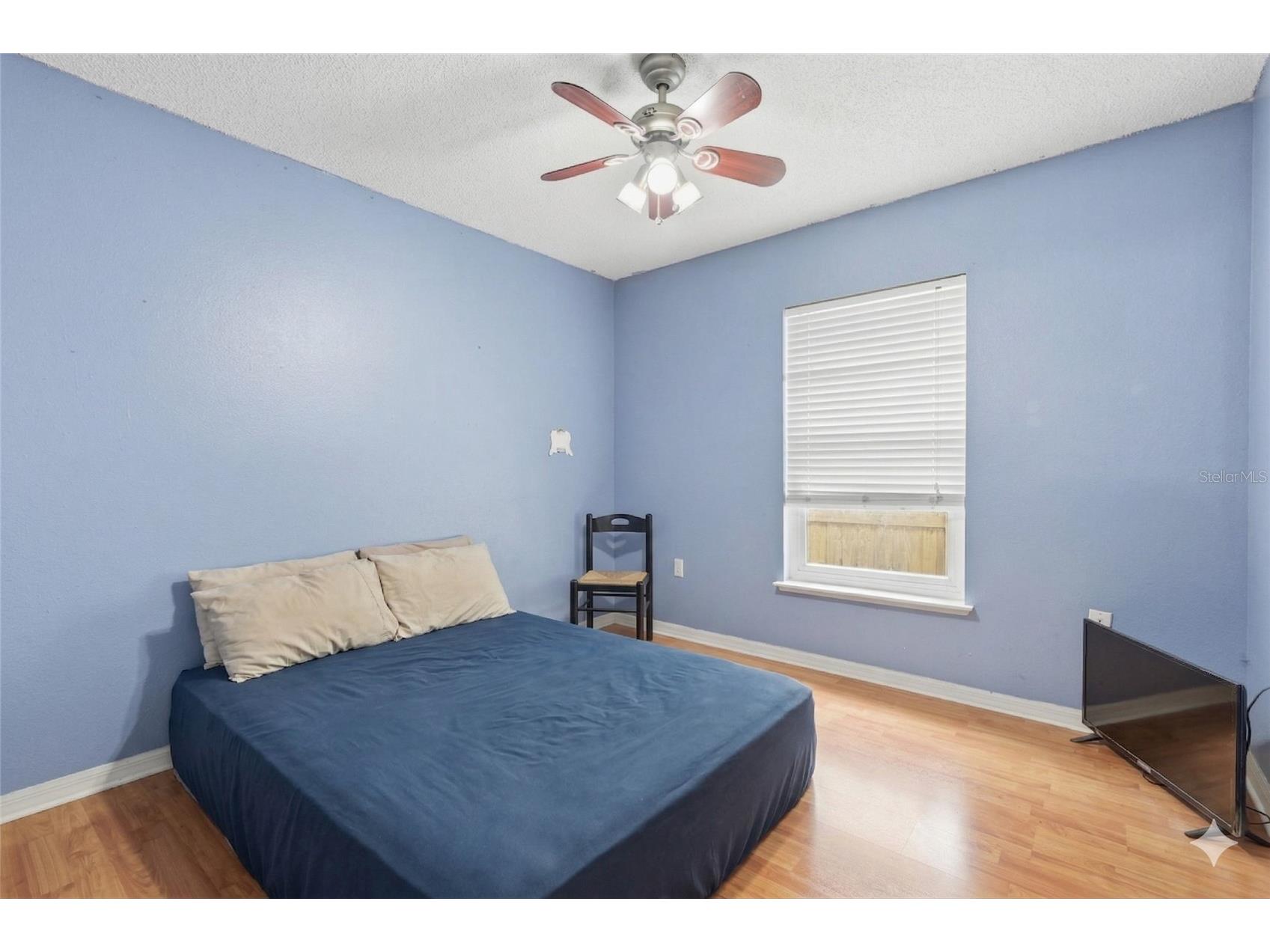 6405 Tabogi Trail Wesley Chapel FL 33545 TB8493273 image17