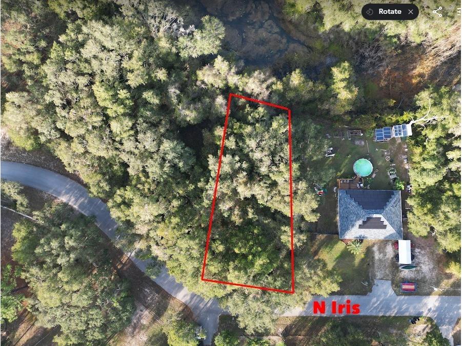 6406 N Iris Drive Hernando FL 34442 OM649601 image1