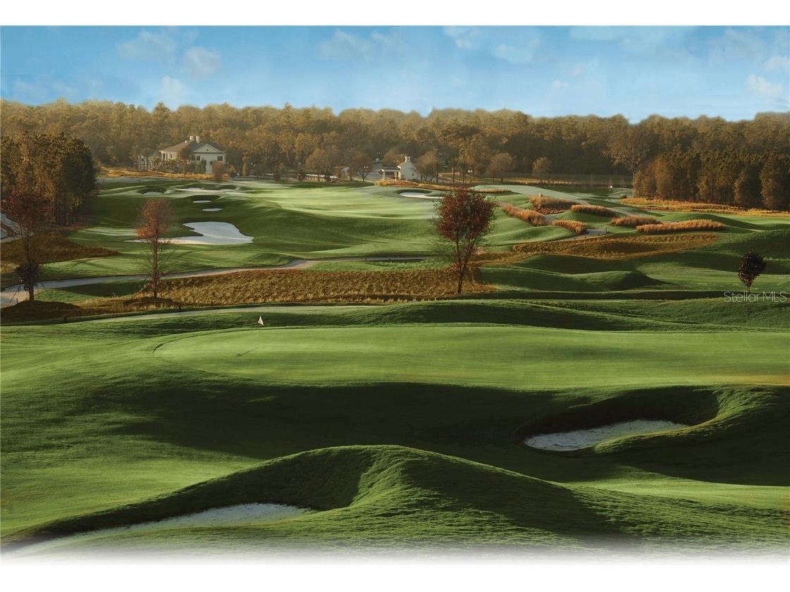 6406 Summit View Drive Brooksville FL 34601 W7869192 image58