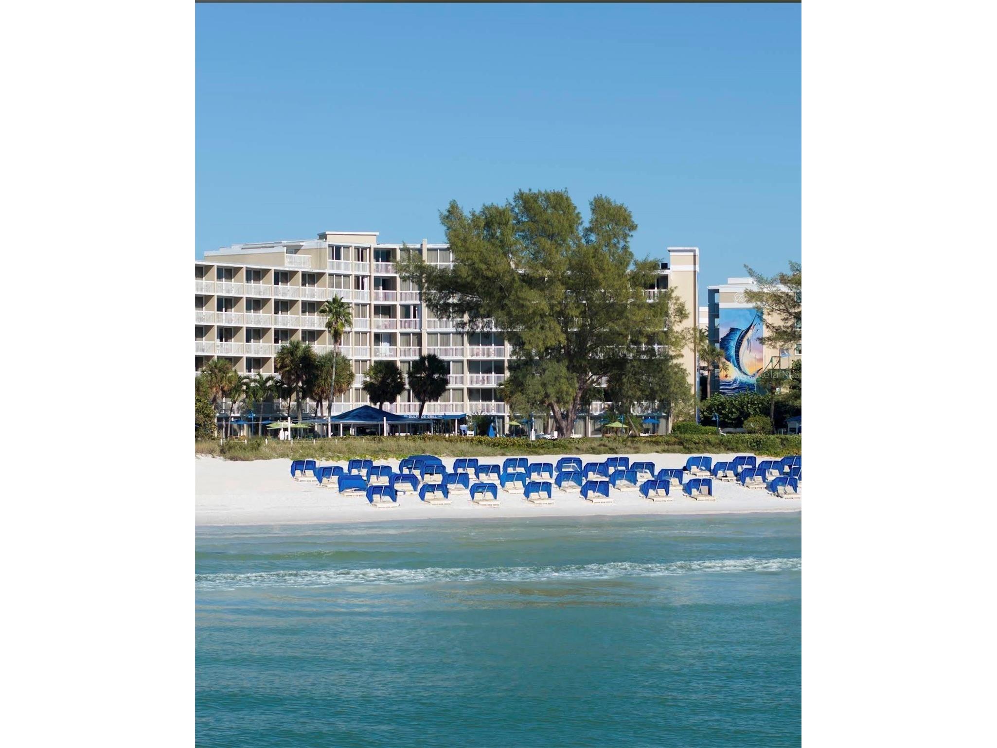 6407 1st Palm Point Saint Pete Beach FL 33706 TB8516089 image28