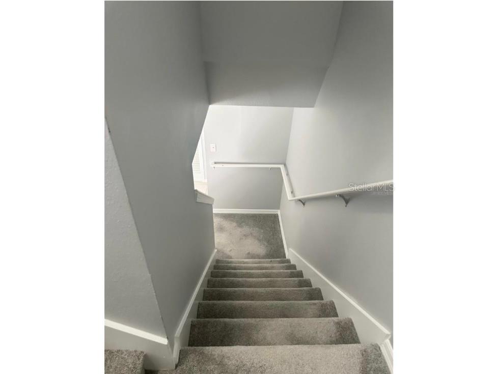 6407 Barksdale Way Riverview FL 33578 TB8450697 image7