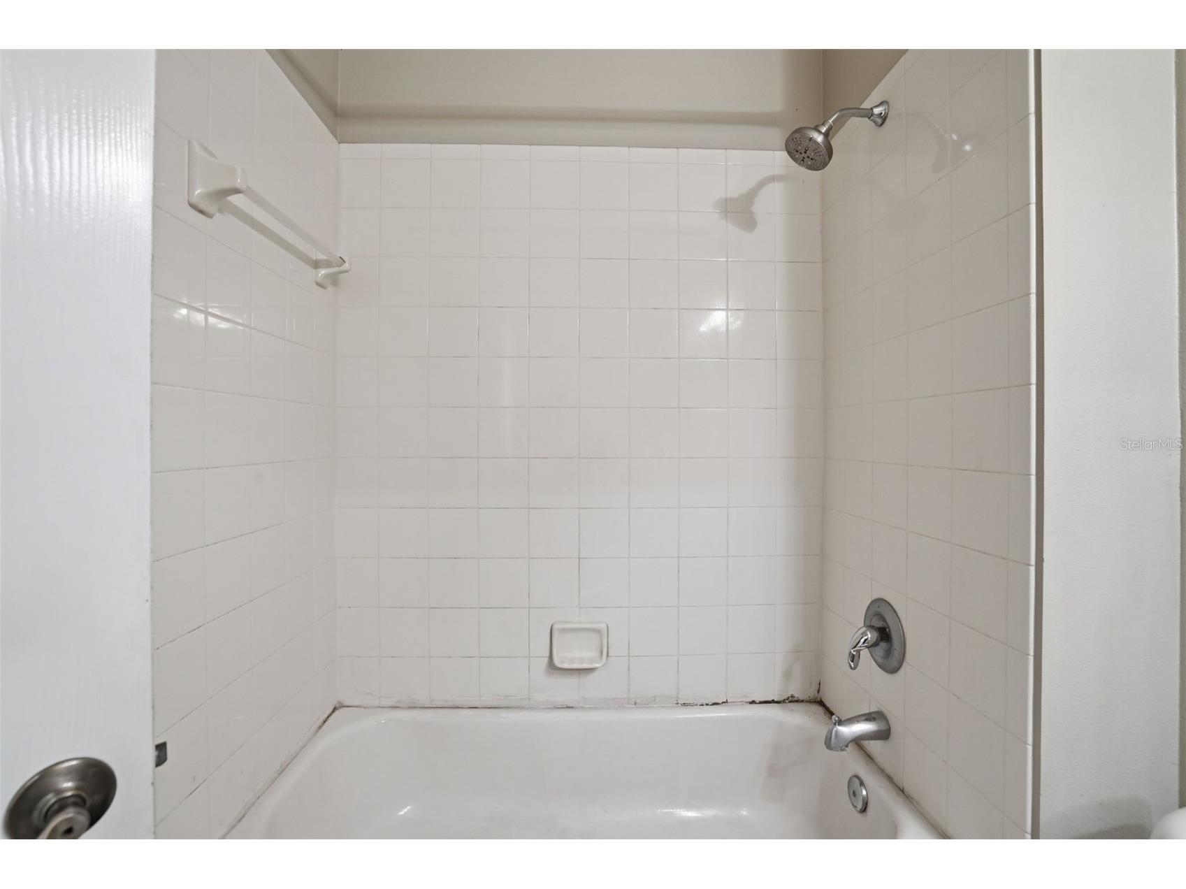 6407 Bridgecrest Drive Lithia FL 33547 O6389430 image31