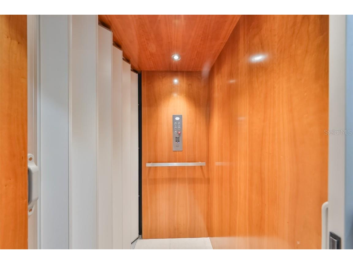 6407 Mayra Shores Lane Apollo Beach FL 33572 TB8368246 image11