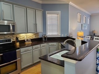 6407 Mayra Shores Lane Apollo Beach FL 33572 TB8368246 image13