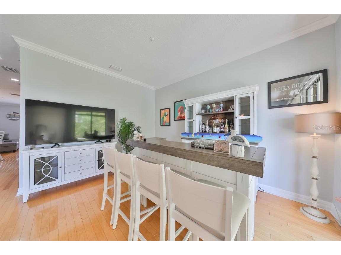 6407 Mayra Shores Lane Apollo Beach FL 33572 TB8368246 image21