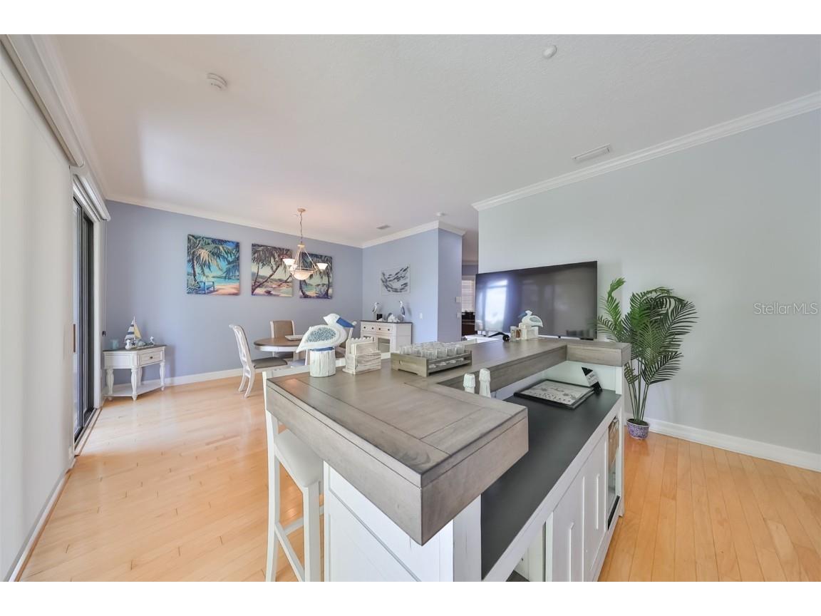 6407 Mayra Shores Lane Apollo Beach FL 33572 TB8368246 image22