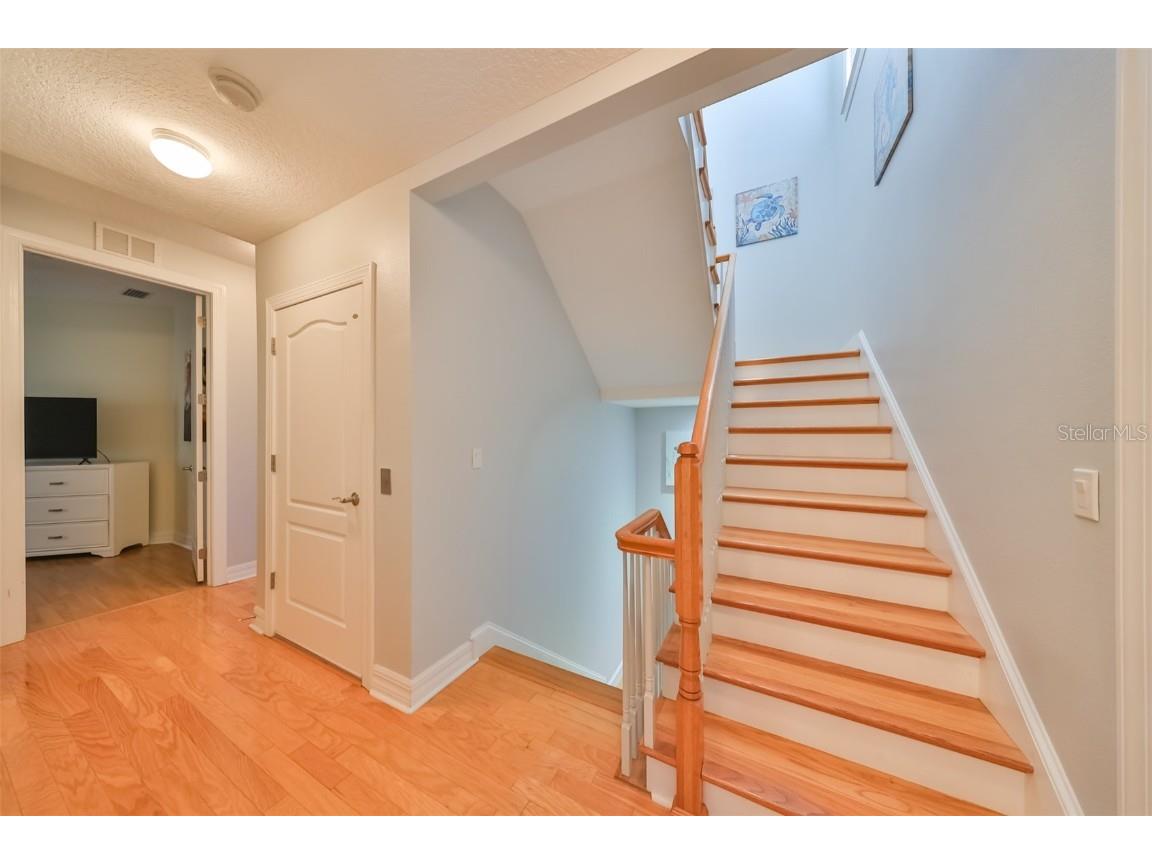 6407 Mayra Shores Lane Apollo Beach FL 33572 TB8368246 image30