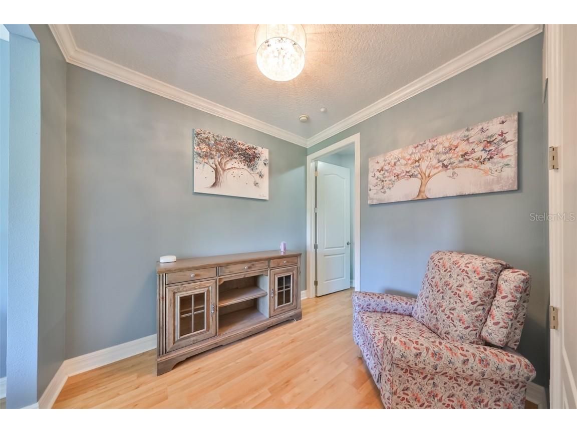 6407 Mayra Shores Lane Apollo Beach FL 33572 TB8368246 image31