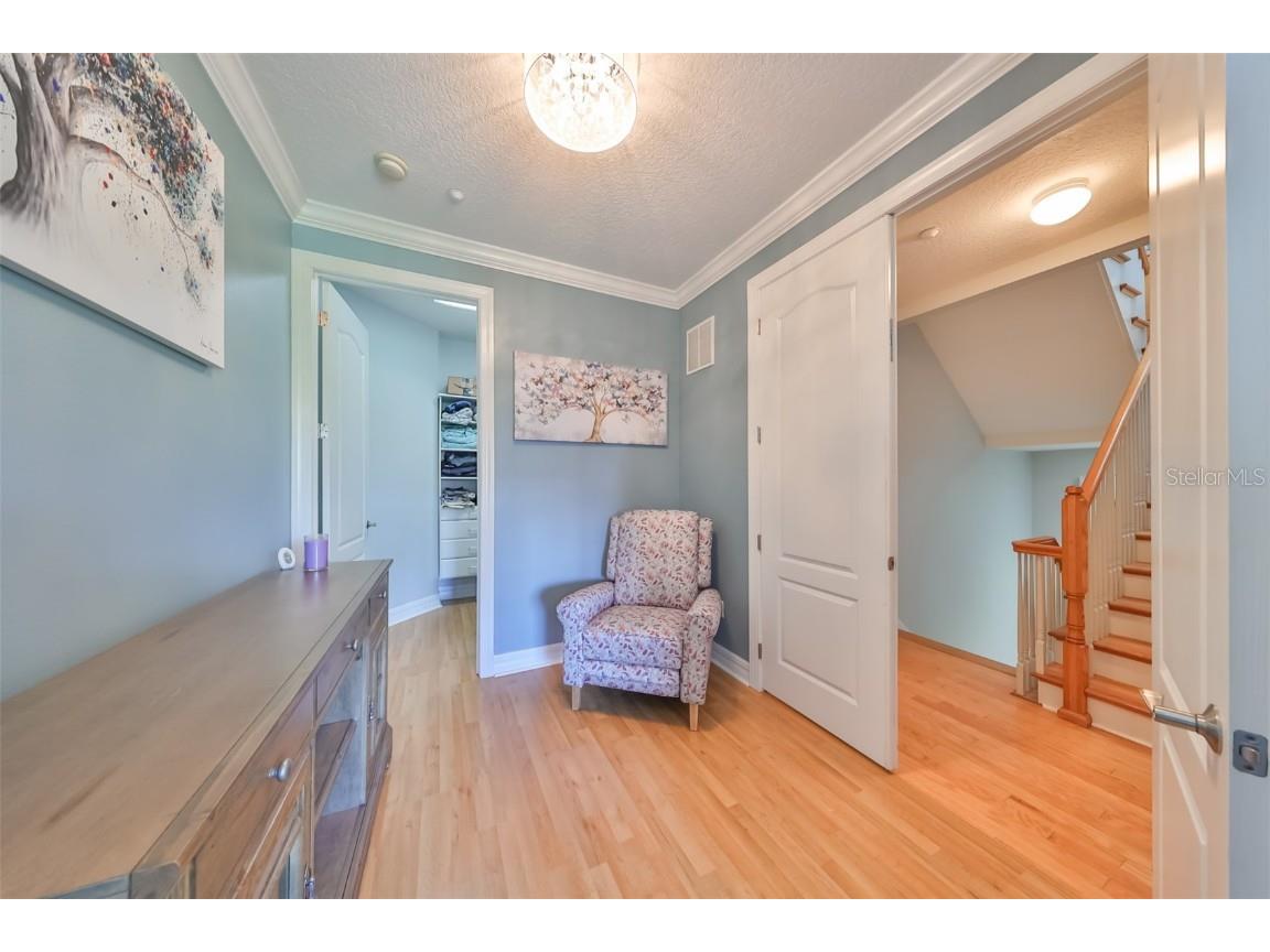 6407 Mayra Shores Lane Apollo Beach FL 33572 TB8368246 image32