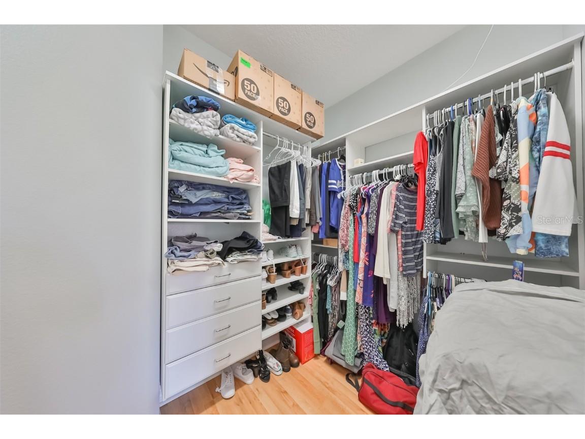 6407 Mayra Shores Lane Apollo Beach FL 33572 TB8368246 image33