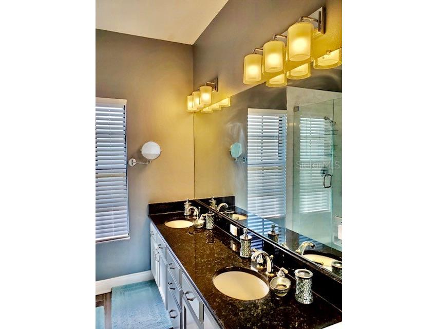 6407 Mayra Shores Lane Apollo Beach FL 33572 TB8368246 image34