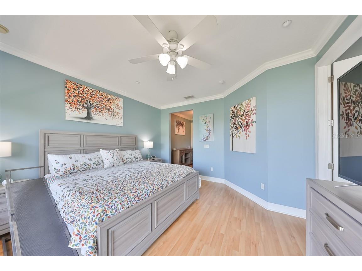 6407 Mayra Shores Lane Apollo Beach FL 33572 TB8368246 image35