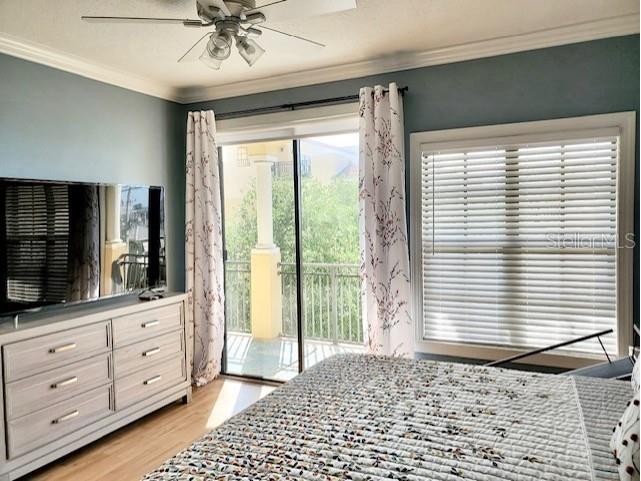 6407 Mayra Shores Lane Apollo Beach FL 33572 TB8368246 image37