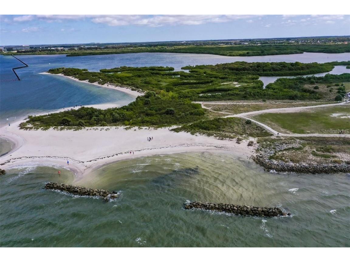 6407 Mayra Shores Lane Apollo Beach FL 33572 TB8368246 image49