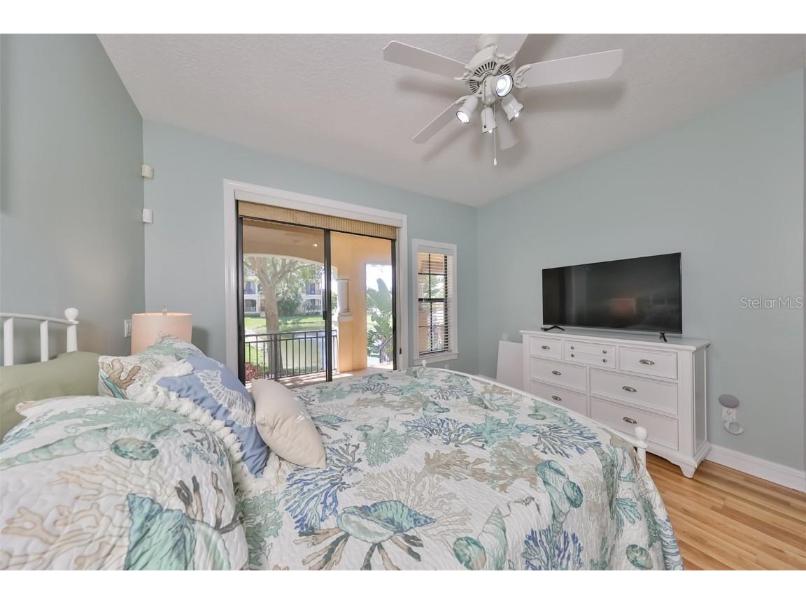 6407 Mayra Shores Lane Apollo Beach FL 33572 TB8368246 image9