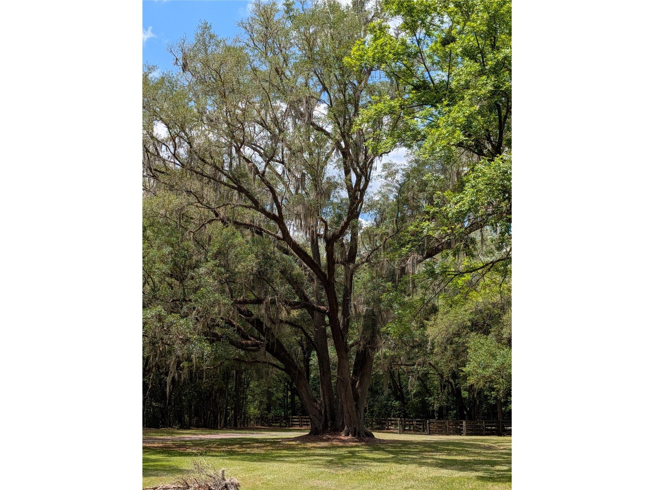 6407 NW County Road 235 Alachua FL 32615 GC539627 image24