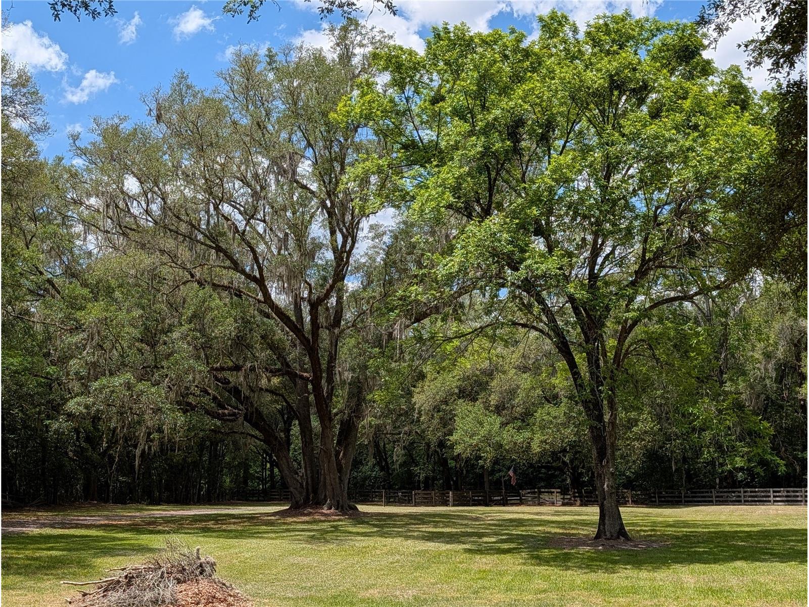 6407 NW County Road 235 Alachua FL 32615 GC539627 image36