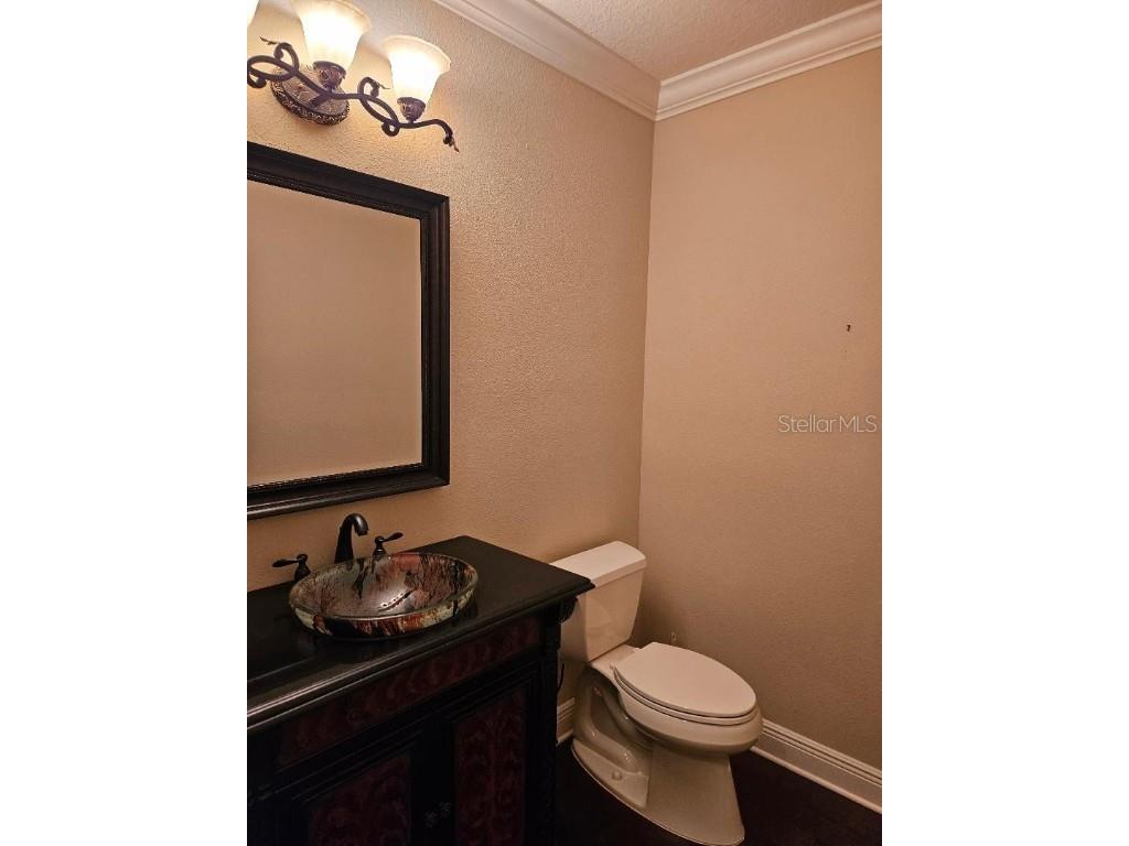 6408 Bright Bay Court Apollo Beach FL 33572 - TAMPA BAY TB8374142 image54