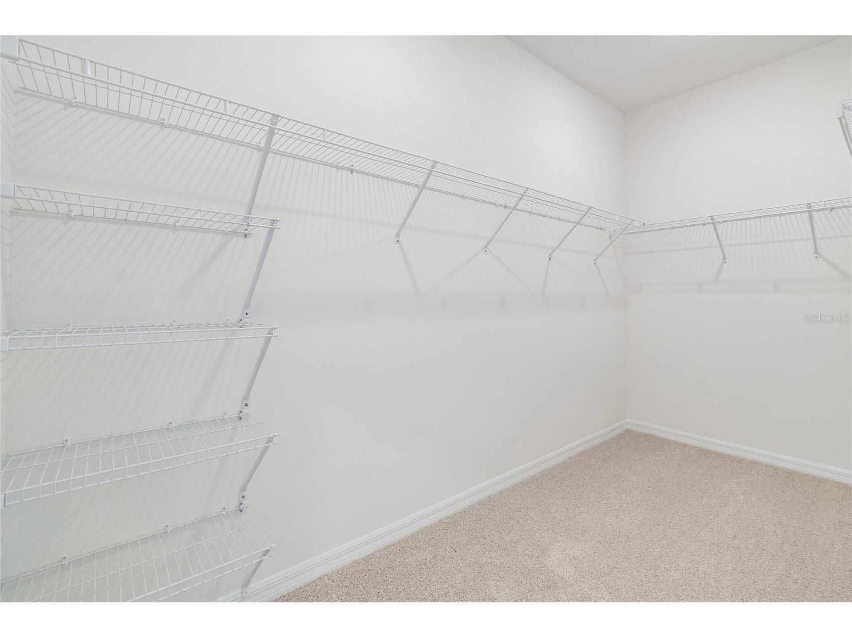 6408 Jensen View Avenue Apollo Beach FL 33572 TB8479508 image18