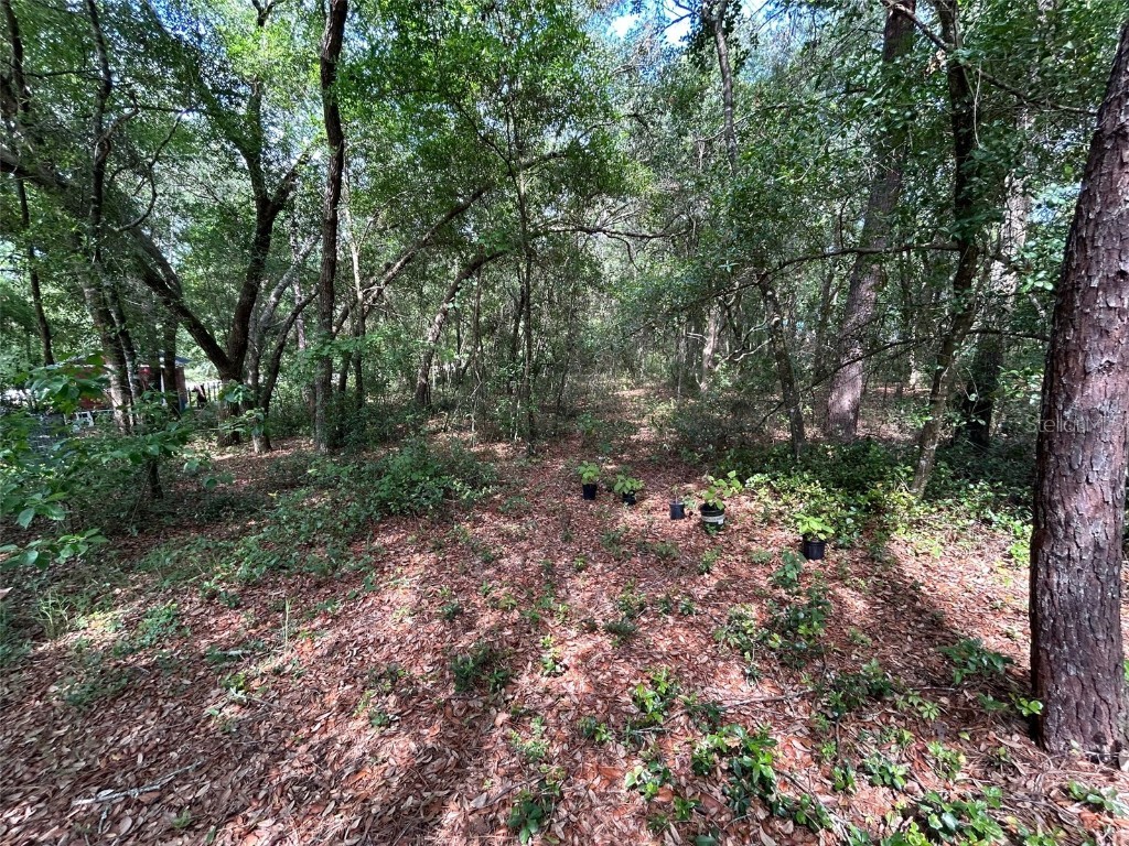 6408 Little Lake Geneva Road, Keystone Heights, FL, 32656 MLS P4930600 Edina Realty