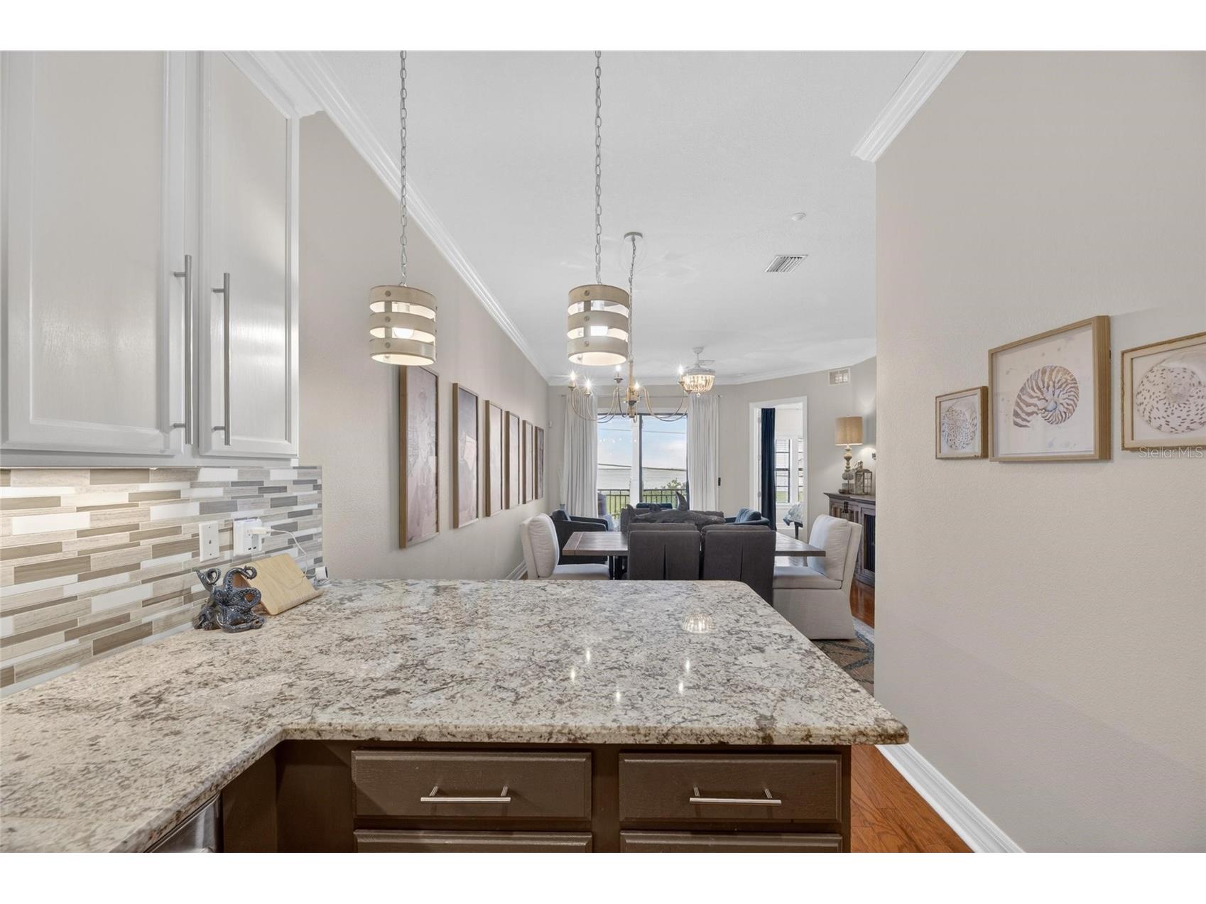 6408 Mayra Shores Lane Apollo Beach FL 33572 TB8516326 image34