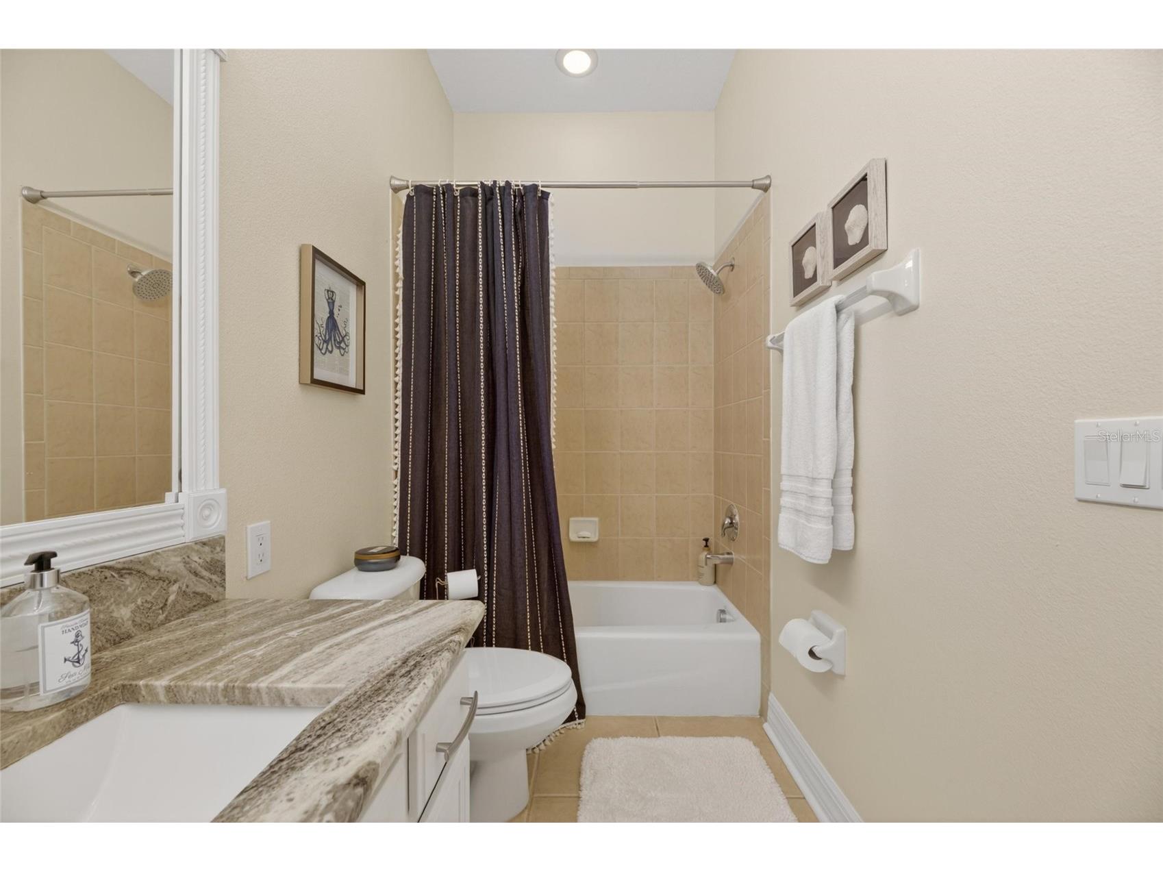 6408 Mayra Shores Lane Apollo Beach FL 33572 TB8516326 image56