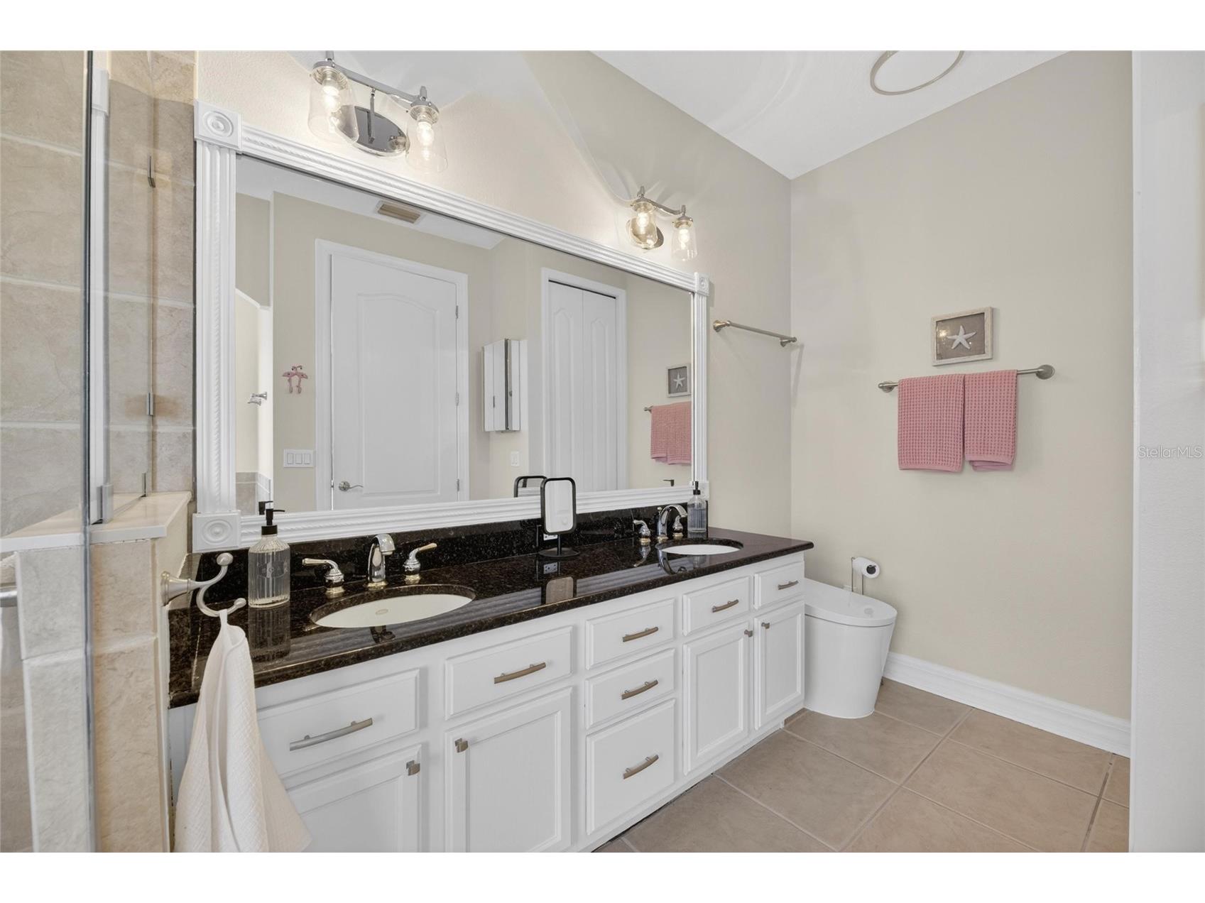 6408 Mayra Shores Lane Apollo Beach FL 33572 TB8516326 image73